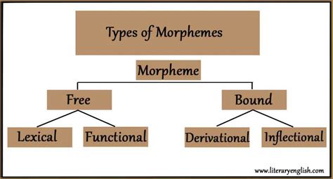 types  morphemes   bound morphemes literary english