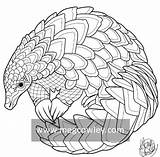 Pangolin Stencil Drawings Crafts Animal Patterns sketch template