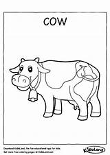 Cow Coloring Worksheets Kids Kidloland Worksheet Printable Pages Activity Educational sketch template