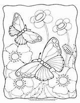 Butterfly Coloring Pages Butterflies Realistic Printable Flowers Cute Flower Easy Colouring Spring Monarch Scene Print Choose Board Book Adult Insect sketch template