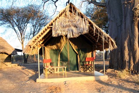 top  mid priced safari lodges  tented camps  tanzania adventures  reach travel blog