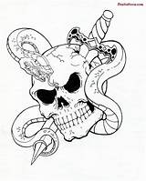 Snake Skull Tattoo Tribal Drawing Evil Skulls Cool Sword Drawings Tattoos Rose Designs Dagger Roses Getdrawings Sample Pirate 3d Sketch sketch template