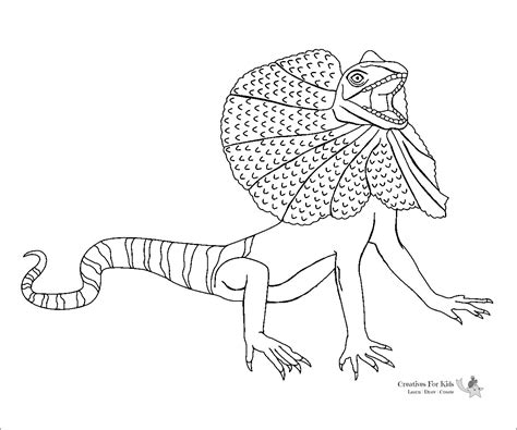 coloring page   lizard