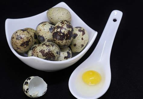 Everything You Need To Know About Quail Eggs In 2020 Quail Eggs Food