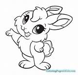 Coloring Bunny Cute Pages Baby Realistic Bunnies Rabbit Printable Kawaii Drawing Color Print Animal Getcolorings Colouring Drawings Colorings sketch template