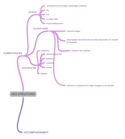 aes structure coggle diagram