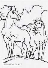 Pferde Malvorlage Pferd Ausmalbilder sketch template