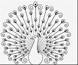 Peacock Outline Drawing Coloring Flower Pages Beautiful Feathers Step Feather Inspirational Kids Getdrawings Mandala Indian Easy Draw Printable Arts Paintingvalley sketch template