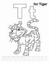 Tiger Coloring Pages Handwriting Practice sketch template