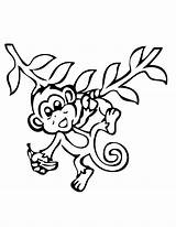 Monkey Coloring Pages Printable Kids Coloringme Print sketch template