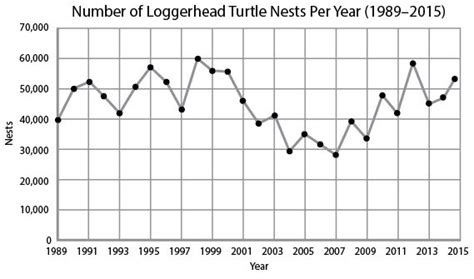 Loggerhead Sea Turtles Like All Marine Turtle Populations