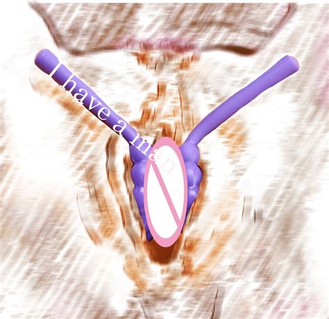 open vagina g spot schaamlippen spreader siliconen uitbreiden kut
