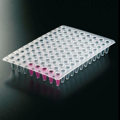 profile pcr plate plates deltalab products