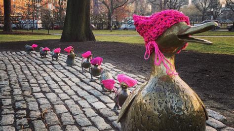 dressed bostons duckling statues  solidarity  saturdays protestors