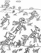 Plagues Coloring Pages Ten Egypt Printable Getcolorings Color Getdrawings Colorings Locusts sketch template