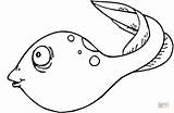 Tadpole Coloring Printable Clipart Pages Clip Ctr Cliparts Shield Template Color 490px 63kb Attribution Forget Link Don Arctic Fox Templates sketch template