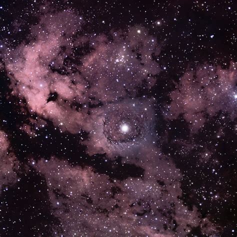sadr gamma cygni nebula sky telescope sky telescope