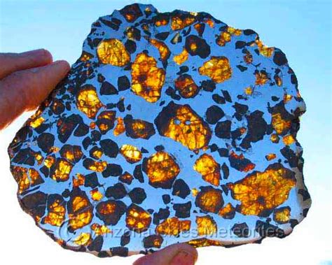 pallasite pallasite meteorite pallasites imilac esquel seymchan brahin fukang minerals
