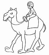 Camellos Camello Egipto Coloriage Dromadaire Cria sketch template