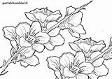 Fiori Stampare Portalebambini Disegnare Pronti Floreali Scaricare Copiare sketch template