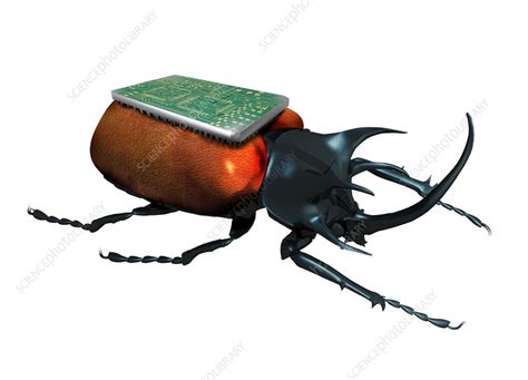 insect spy conceptual artwork stock image  science photo library