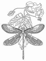 Dragonfly Coloring Pages Mandala Adults Adult Printable Book Flower Zentangle Choose Board sketch template