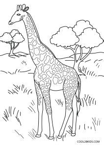 printable animal coloring pages  kids coolbkids