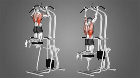 assisted pull  band  machine benefits muscles worked