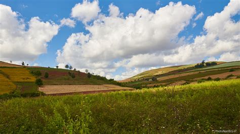 paesaggio rurale juzaphoto