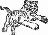 Tiger Coloring Pages Realistic Bengal Printable Drawing Color Getcolorings Animals Getdrawings Choose Board sketch template