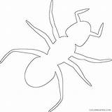 Ants Ant Hostted Coloring4free sketch template