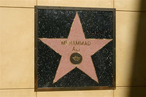 Top 10 Amusing Facts About The Stars On The Hollywood Walk
