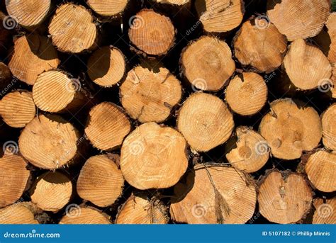 logs stock photo image  logging timber deforestation