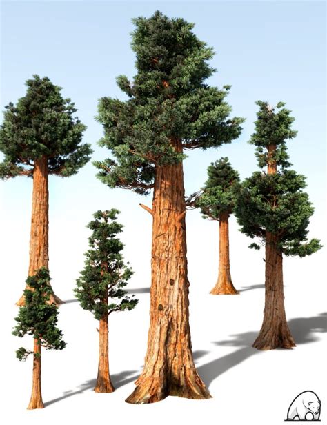 giant sequoia   renderfu