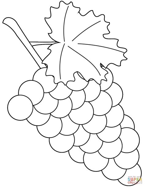 grapes coloring pages  preschoolers  svg design file