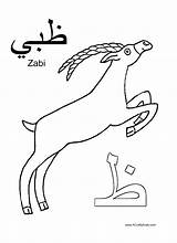 Zabi Arabe Letter Acraftyarab Crafty Lettres Multicultural Colouring Lettre Zab Salvato sketch template