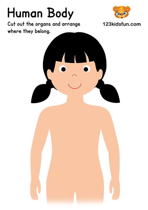 printable english worksheet  preschool body parts