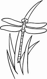 Dragonfly Coloring Grass Pages Printable Kids Color Bestcoloringpagesforkids Colouring Dragonflies Clipart Clipartbest Libellule Clip Patterns Insects sketch template