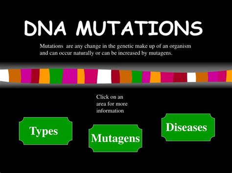 Ppt Dna Mutations Powerpoint Presentation Free Download Id 5687052