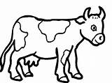 Colorat Planse Vaca Animale Desene sketch template