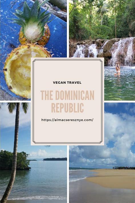 best beaches on the dominican republic travel diary vegan