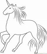 Unicorn Coloringpages101 Unicorns sketch template