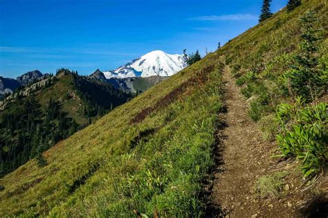 pacific crest trail  dogs