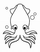 Squid Coloring Pages Printable Museprintables Outline Kids Giant Sheets Animal Octopus sketch template