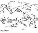 Horse Coloring Pages Jumping Horses Clydesdale Herd Small Realistic Show Color Wild Getcolorings Rearing Mustang Printable Print Colorings Getdrawings sketch template