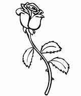Coloring Pages Kids Rose Roses Printable sketch template
