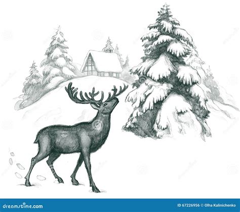 deer stock illustration illustration  beauty landscape