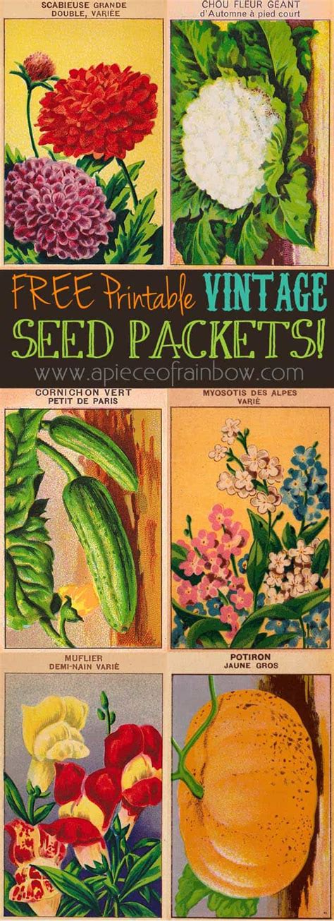 printable vintage seed packets printable templates