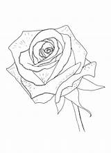 Coloring Rose Pages Realistic Mothers Cross Desktop Drawing Beautiful Background Stencil Getdrawings Wallpapers Getcolorings Printable Color Colorings sketch template