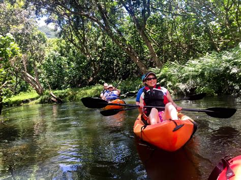 rainforest river kayak  guided    waikiki adventures